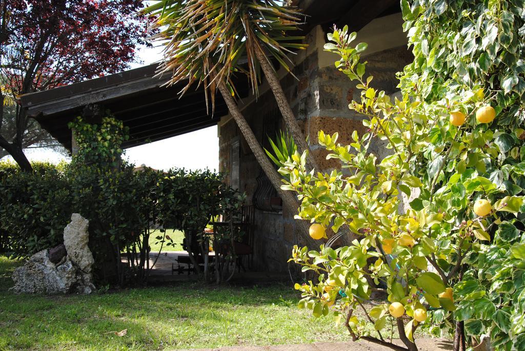 Tenuta Di Pontesodo Montalto di Castro Exterior photo